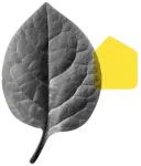 descuentos passivhaus