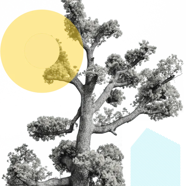 tree_home2